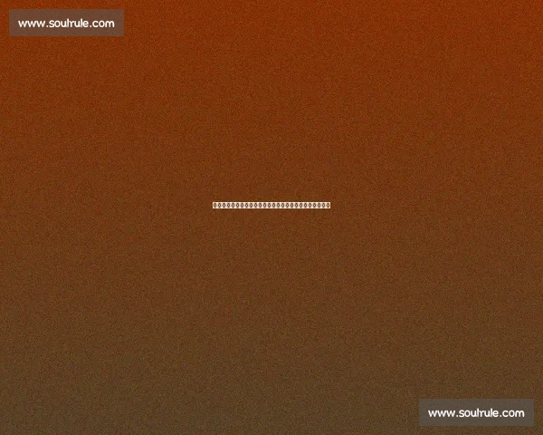 烽火佳人：硝烟岁月中的爱与坚守，烽火中绽放的英雄情怀