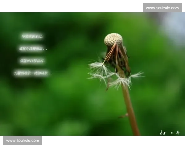 《在那遥远的地方讲述了一段跨越时空的爱情与命运交织的动人故事》